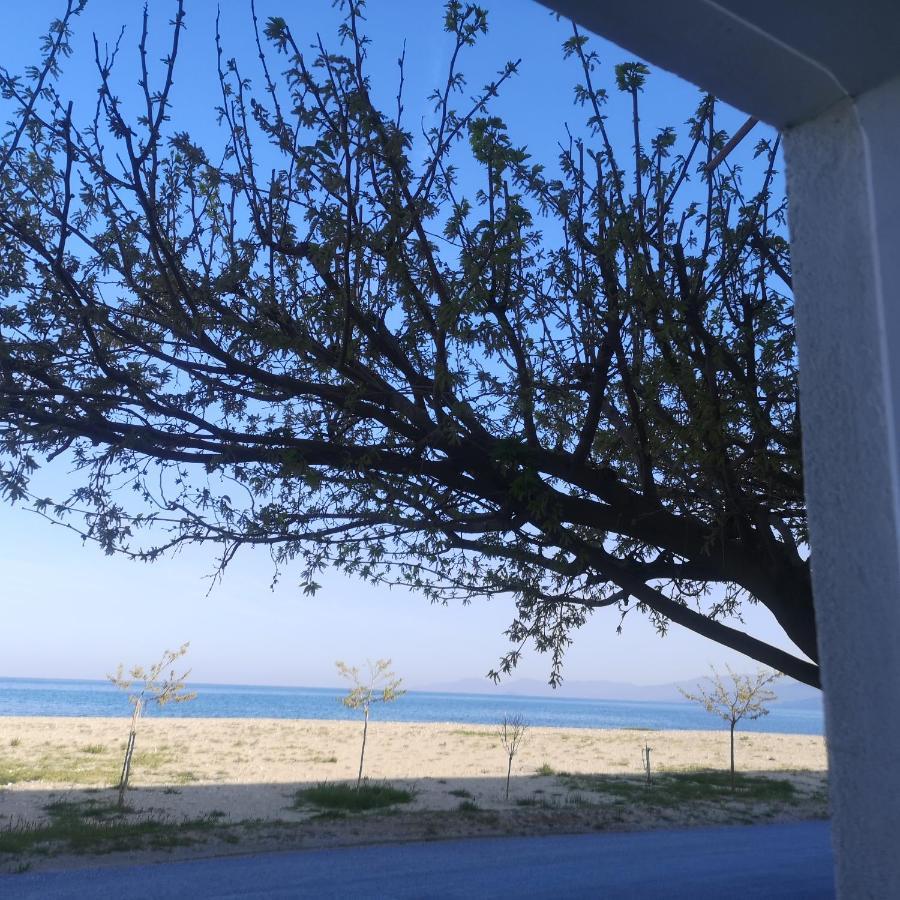 Greece Asprovalta Rooms Accomodation Apartment Hotel Petalo Buitenkant foto